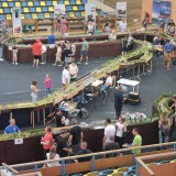 Expo-Arad-2024-15