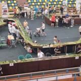 Expo-Arad-2024-17