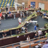 Expo-Arad-2024-18