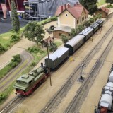 Expo-Arad-2024-5