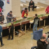 Expozitie-Biblioteca-Nationala-2024-35