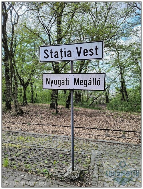 Trenuletul-de-pe-Platoul-Cornesti-14.jpg