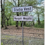 Trenuletul-de-pe-Platoul-Cornesti-14
