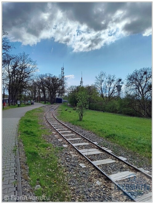Trenuletul-de-pe-Platoul-Cornesti-17.jpg