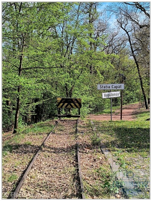 Trenuletul-de-pe-Platoul-Cornesti-26.jpg