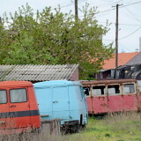 DSC_7831