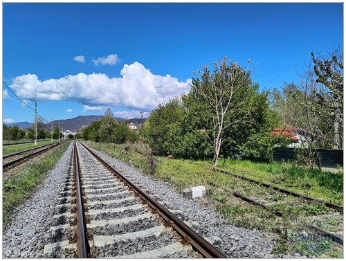 Piatra-Neamt-13.jpg