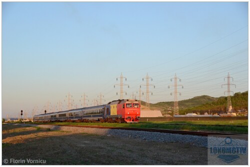 DSC 8244