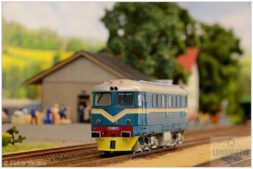 DSC 8743