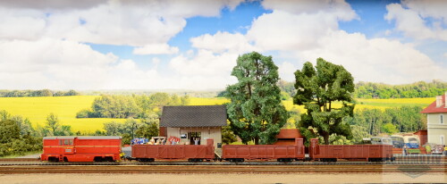 DSC 8858