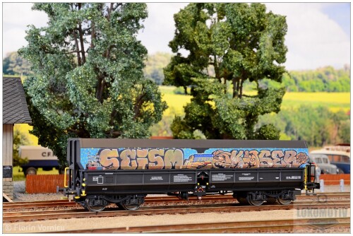 DSC 8901