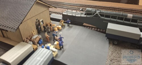 CU-TRENUL-PRINTRE-CARTI.-Trenuri-prin-Ilva-Mica.-7.jpg