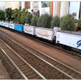 IMG_20261010_113500763
