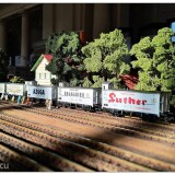 IMG_20261011_092633441_HDR